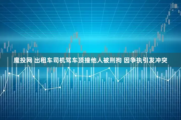 魔投网 出租车司机驾车顶撞他人被刑拘 因争执引发冲突