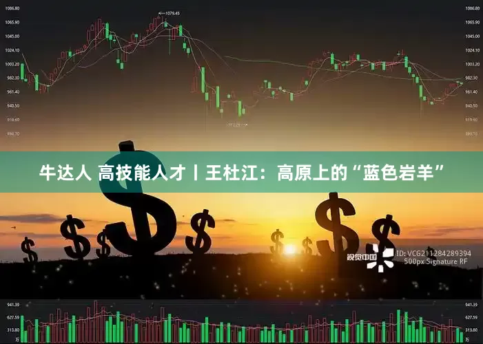 牛达人 高技能人才丨王杜江：高原上的“蓝色岩羊”