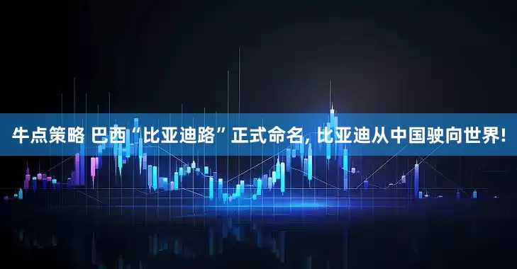 牛点策略 巴西“比亚迪路”正式命名, 比亚迪从中国驶向世界!